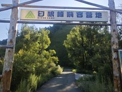 -洮儿河国家湿地公园