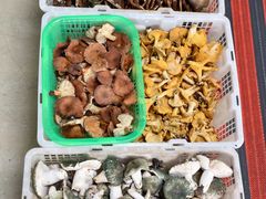 -双喜农庄·菌香园(安居家园店)