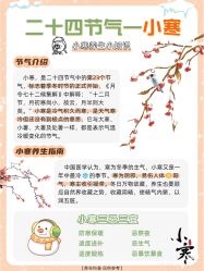 点击看大图 -玛莲朵·海菲秀冰珀科