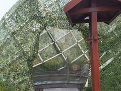 -凤翔首邑温泉度假村