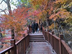 -崂山九水游览区