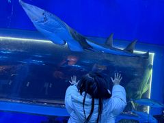 -成都浩海立方海洋公园