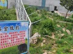 -西霞口神雕山野生动物世界