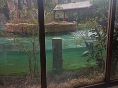 -忆江南·临江鱼馆