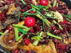 -老板恋上鱼(恒隆广场店)