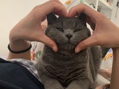 -联合动物医院(光谷诊疗中心)
