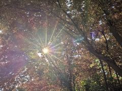 -木塔寺遗址生态公园