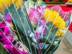 -上海市龙华烈士陵园