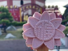 -广州莲花山旅游区
