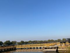-卧龙湖