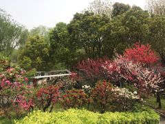 -南汇桃花村
