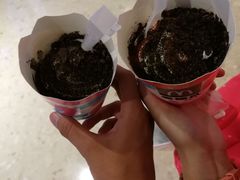 -海底捞火锅(龙岗星河COCO Park店)