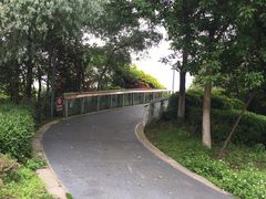 -琅岐红光湖公园