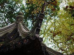 -秋霞圃