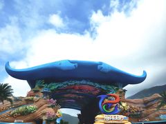 -鹦鹉过山车