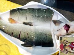 -胖师鱼馆非遗砂锅雅鱼(大北街店)