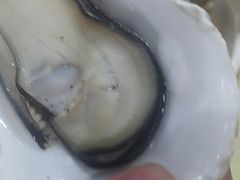 -考记泥焗鸡农庄·海鲜(北洛秘境店)