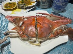 鲜活大螃蟹-北塘海鲜·天津菜(大光明桥旗舰店)