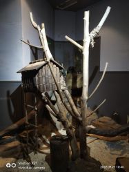 -未来动物城动物主题公园(大悦城店)