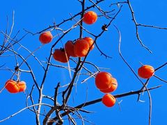 -东亿天弘演播大厅