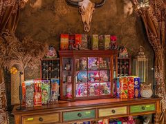 -雪灵魔法世界SHELLY’S TAROT(大良桂畔里店)
