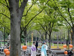 -长田漾湿地公园