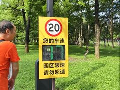 -海珠湖公园