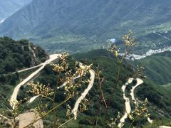 -白草畔自然风景区