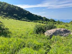 -白草畔自然风景区