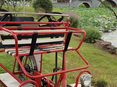 -上海海湾国家森林公园