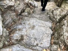 -活水公园