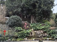 -乌山风景区