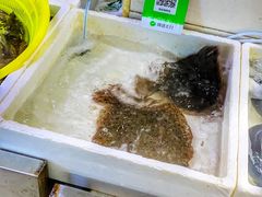 -板桥海鲜广场(文明东店)