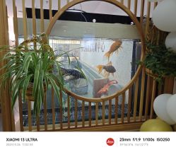 -卓拓普拉提