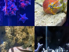 -南昌融创海世界
