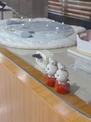 -宝生月子中心·独栋独院式(南山店)