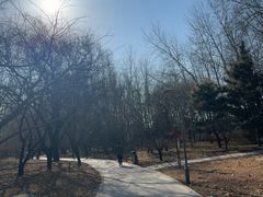 -仁和公园(顺义区)