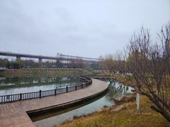 -洋湖国家湿地公园