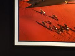 -罗红摄影艺术馆