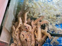 -兰陵农贸市场(新世界花苑店)