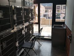 -美联众合宠物医院·爱萌分院·内外科·猫科中心