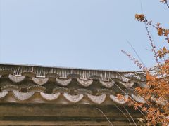 -三林塘老街
