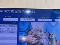 -谐和贝康宠物医院24小时·宠保定点(急重症转诊中心)