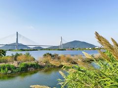 -芒洲湿地公园