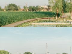 -永定河休闲森林公园