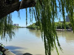 -运河游船(武林门码头)