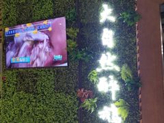 -大自然醉鹅·铁锅火焰鹅(上海联洋店)