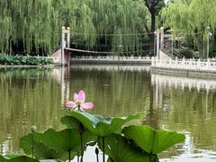 -丰台花园