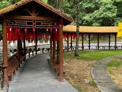 -洛阳白云山景区