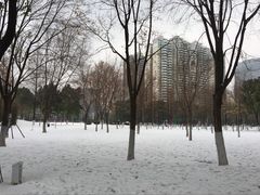 -西北湖绿化广场